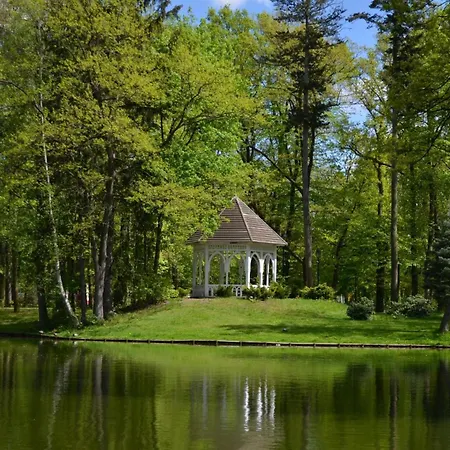 Dabrowka Luxury - W Lesie, Parking * Jelenia Góra