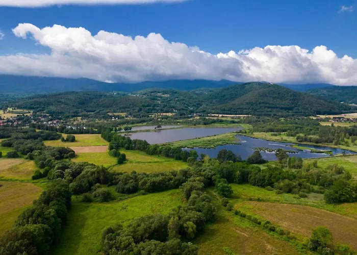 Dabrowka Luxury - W Lesie, Parking *