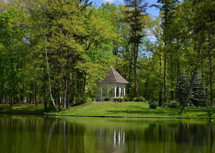 Dabrowka Luxury - W Lesie, Parking * Jelenia Góra